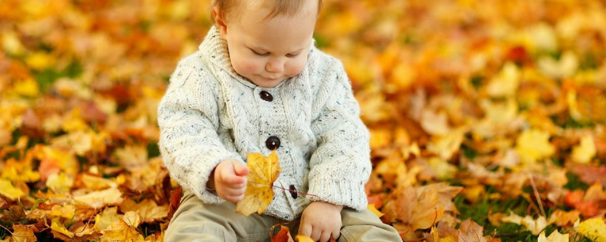 6 Fall Family Traditions That Will Create Lifelong Memories