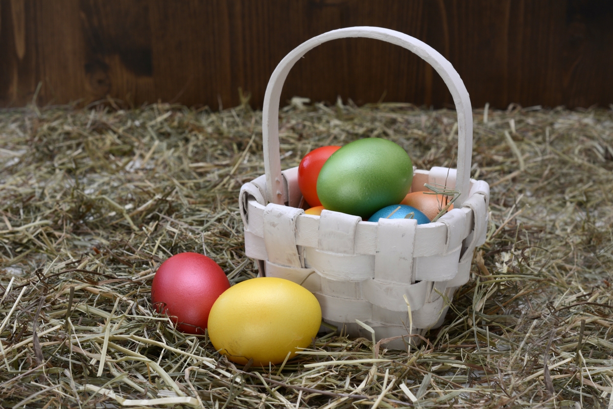 How To Throw An Unforgettable Easter Egg Hunt